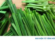 Rau rẻ bèo ở Việt Nam, ra nước ngoài “hét giá” gần 200.000đ/kg