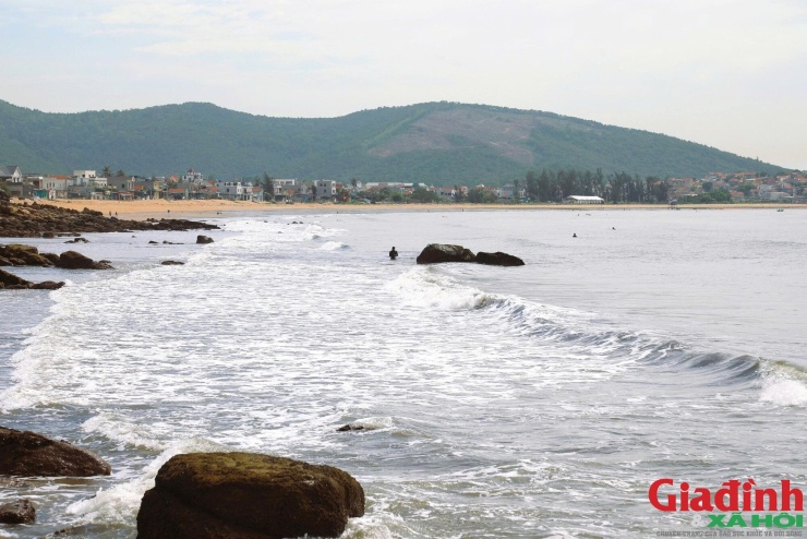 Bãi ghềnh đá ven biển phường Quỳnh Phương dài gần 10km là nơi vẹm xanh sinh trưởng dày đặc nhờ dòng nước giàu phù du và thủy triều lên xuống mỗi ngày.