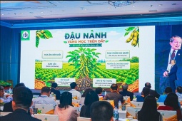 Hội thảo khoa học: “Vai trò dinh dưỡng từ đậu nành và các loại hạt đối với sức khỏe và phòng chống bệnh không lây nhiễm”