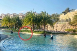 Phục hồi điều tra vụ bé trai người Nhật tử vong ở resort 5 sao