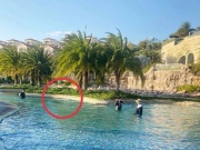Phục hồi điều tra vụ bé trai người Nhật tử vong ở resort 5 sao