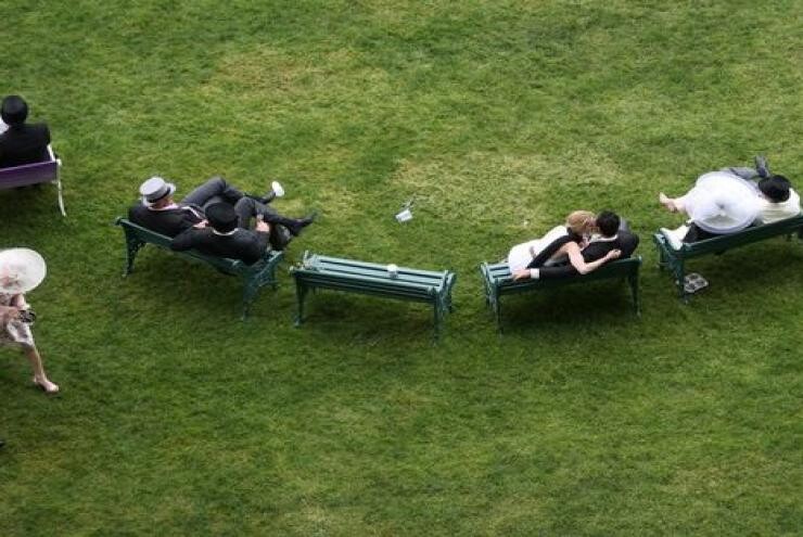 Sốc khán giả tới xem đua ngựa và làm "chuyện tế nhị" ngay trên trường đua