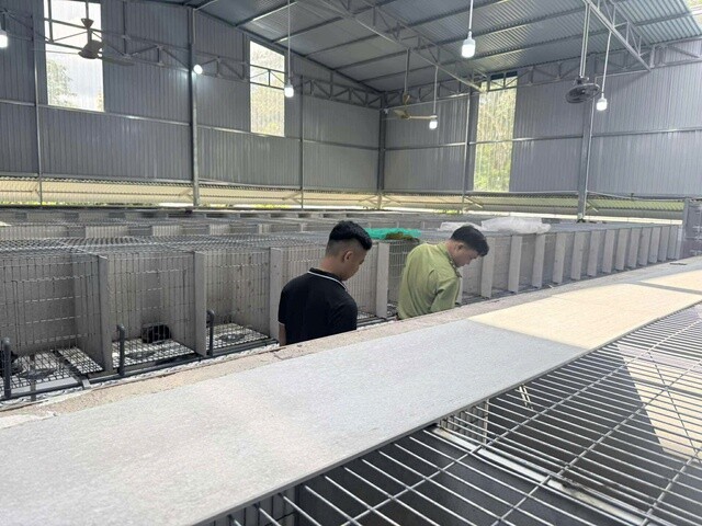 Khám phá trang trại nuôi chồn hương đặc biệt ở TP Đồng Nai - 2