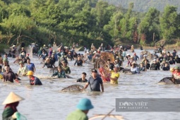 Bắt cá cầu may, hàng nghìn người dân đội nắng xuống Vực Rào (Hà Tĩnh) tham gia lễ hội truyền thống hơn 300 năm tuổi