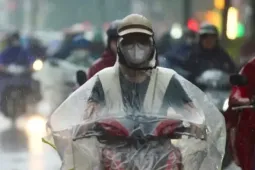 Miền Bắc mưa lớn diện rộng từ đêm nay
