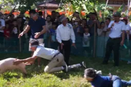 Cười nghiêng ngả màn 'bịt mắt bắt heo'