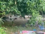 Tìm thấy thi thể bé trai mất tích trong rừng
