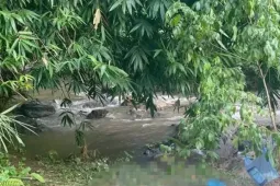 Tìm thấy thi thể bé trai mất tích trong rừng
