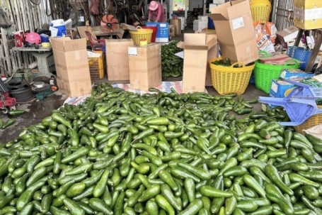 Bơ đặc sản từng ‘gây sốt’ nay rớt giá thê thảm