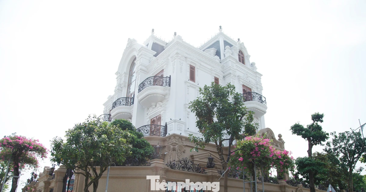 Ngôi biệt thự nằm ở tổ dân phố Lẽ, phường Thuận Thành (Bắc Ninh). Ảnh: Nguyễn Thắng