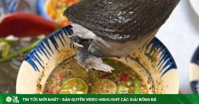 Đừng làm gà luộc hay nướng, đem hấp với loại quả này đảm bảo ngọt thanh, thơm lừng