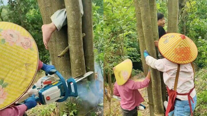 Dân mạng cảm thương cái cây khi đang yên đang lành bị em nhỏ "làm hại". (Ảnh chụp màn hình)