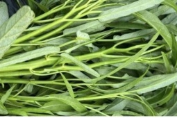 Loại rau quốc dân ở Việt Nam ra nước ngoài lại thành đặc sản đắt đỏ