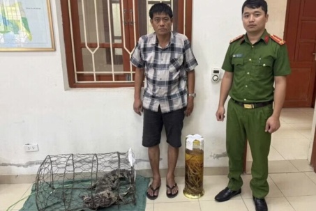 Ngâm rượu tay gấu, người đàn ông bị khởi tố