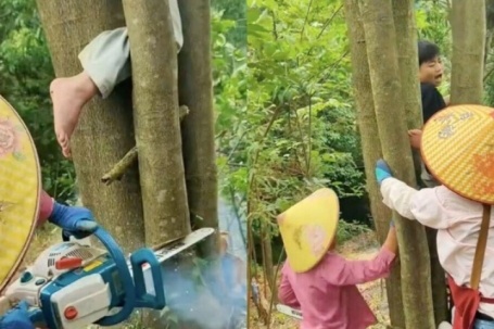 Xem giải cứu em bé mắc kẹt khi trèo cây, dân mạng than 'khối nghỉ hè quá mạnh'