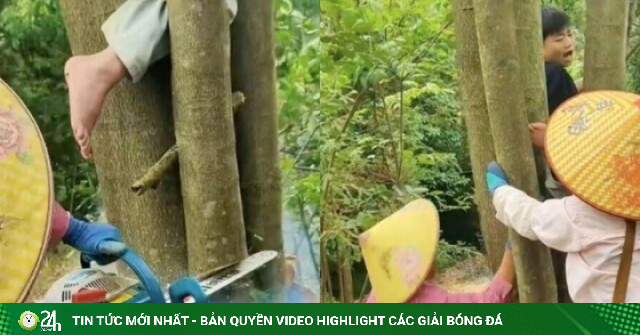 Xem giải cứu em bé mắc kẹt khi trèo cây, dân mạng than 'khối nghỉ hè quá mạnh'