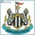 TRỰC TIẾP Newcastle - Man City: Dấu chấm hết (KT) - 1