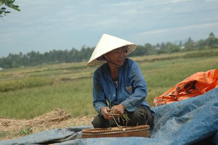 Lạ lùng xã có 500 cán bộ ở Thanh Hóa - 1