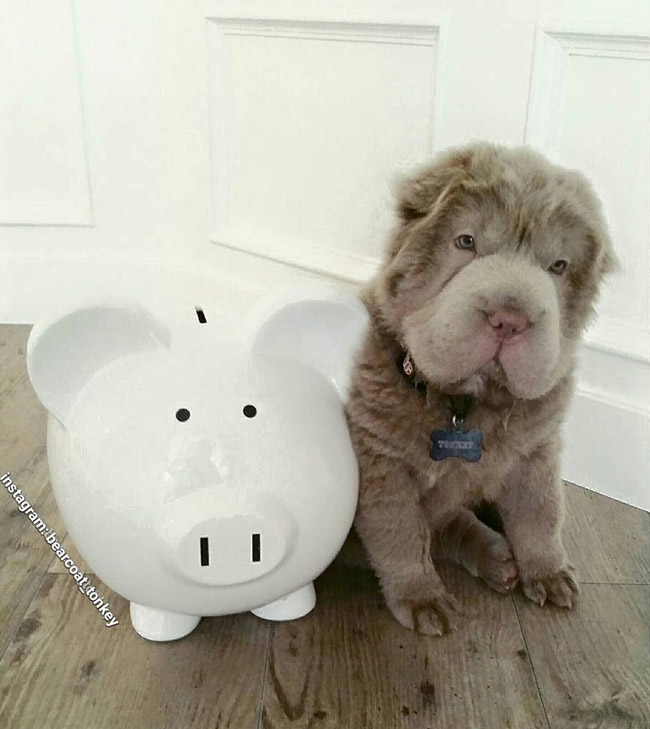 Còn đây là cặp đôi hoàn cảnh.