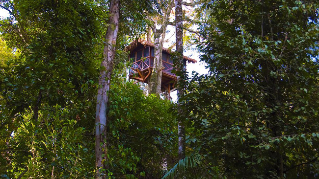 Nhà cây Inkaterra Canopy ở Puerto Maldonado, Peru có một phòng duy nhất với hai chiếc giường đôi dành cho những du khách thích sự phiêu lưu, mạo hiểm.