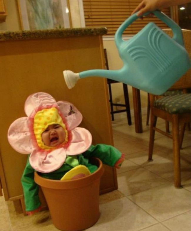 Đừng tưới nữa, nhiều nước quá rồi đấy.