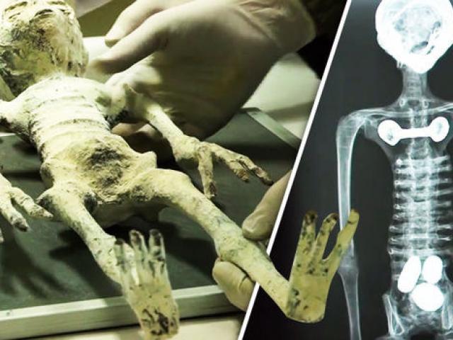 Xác “người ngoài hành tinh” bên trong hầm mộ Peru đang mang thai?