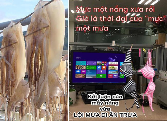 Xuất hiện loại mực mới, rất thịnh hành