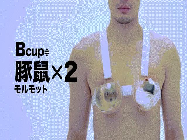 Quảng cáo nội y vô duyên, đo vòng 1 bằng thú, bị cấm tại Nhật