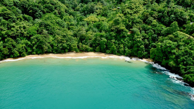 Tobago: Chiếm một nửa diện tích Trinidad &amp; Tobago, hòn đảo Tobago là điểm đến thanh bình. Nơi đây nổi tiếng với món kem dừa ngon tuyệt.