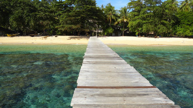 Sulawesi: Trên hòn đảo này của Indonesia, du khách có thể trải nghiệm vẻ hoang sơ, khám phá rừng nhiệt đới và núi non hùng vĩ.