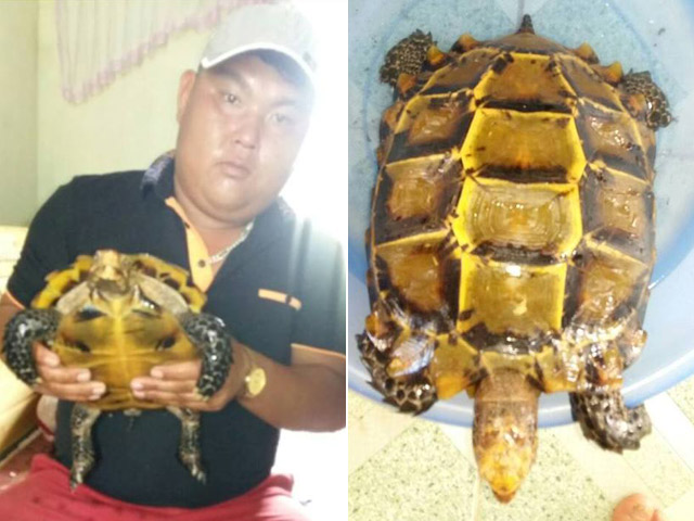 Từ chối bán rùa vàng ”bạc tỷ” và sự thật bất ngờ