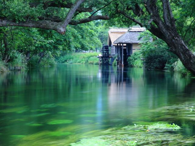 Có một ngôi làng xanh mát, trong lành và bình yên đến lạ ở Nhật Bản
