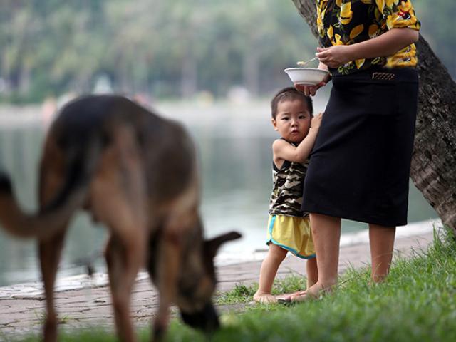 Hết hồn “thú cưng” nhe nanh, lè lưỡi dọa người nơi công cộng