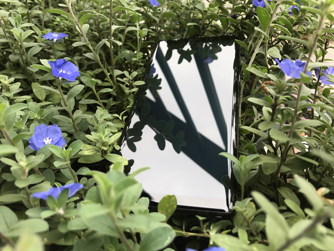 Máy sở hữu bộ khung kim loại cao cấp, và hai mặt phủ kính Gorilla Glass 5 cao cấp nhất. Màn hình vô cực Infinity Display kích thước 6.3 inch độ phân giải Quad HD+, công nghệ Super AMOLED cho phép bạn xem nhiều hơn và cuộn ít hơn. Galaxy Note8 mang lại cho bạn màn hình rộng hơn để xem, đọc hoặc vẽ, và là một chiếc smartphone đa nhiệm tuyệt vời.