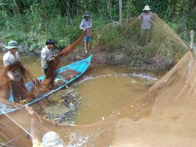 Cà Mau đề nghị ông Hải phản hồi phát ngôn 'rừng U Minh'