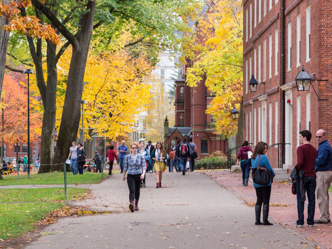 3. Đại học Harvard đệ trình 881 công trình nghiên cứu khoa học trong khoảng thời gian từ 2010 đến 2015. 26.1 % trong số đó đã được cấp bằng sáng chế. Các cựu sinh viên nổi tiếng bao gồm cựu giám đốc điều hành của Microsoft, Steve Ballmer&nbsp; và CEO của Goldman Sachs, Lloyd Blankfein.
