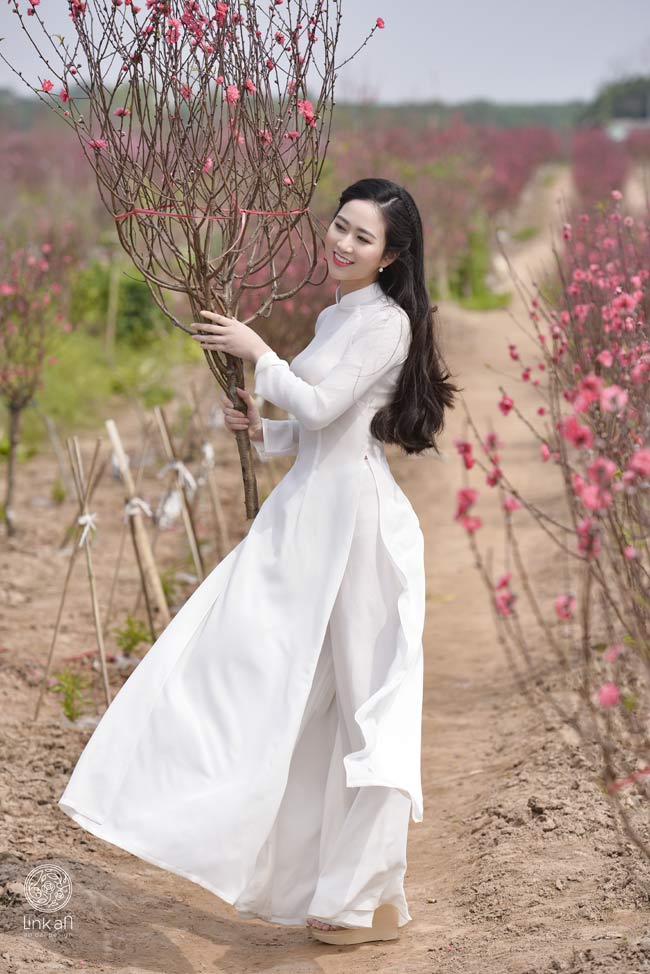Đào, loa kèn, bằng lăng, sen, phượng, điệp, cúc họa mi... là những loài đẹp tượng trưng cho 4 mùa xuân, hạ, thu, đông. 