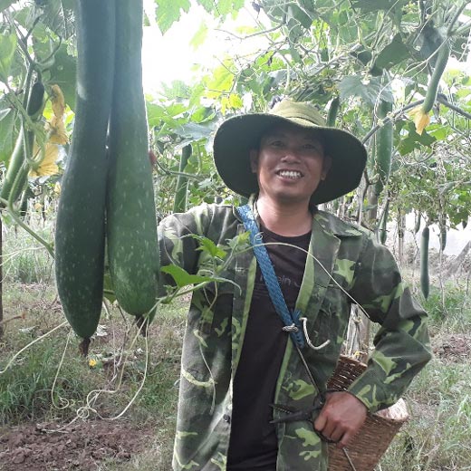 Bỏ ngô trồng bí, "hot boy đồng rừng" thu lãi 30 triệu đồng/vụ - 2
