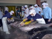 Thị trường - Tiêu dùng - Từ hôm nay, Trung Quốc giảm thuế nhập khẩu 221 sản phẩm thủy sản
