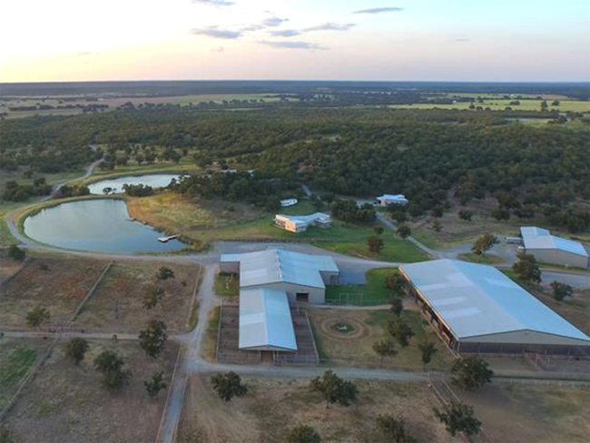 Alice cũng thích nuôi ngựa. Bà có một trại ngựa ở Texas. Mới đây, trang trại này đã được bán cho người khác nhưng số tiền không được tiết lộ. Được biết, giá chào bán ban đầu là 19,75 triệu USD.