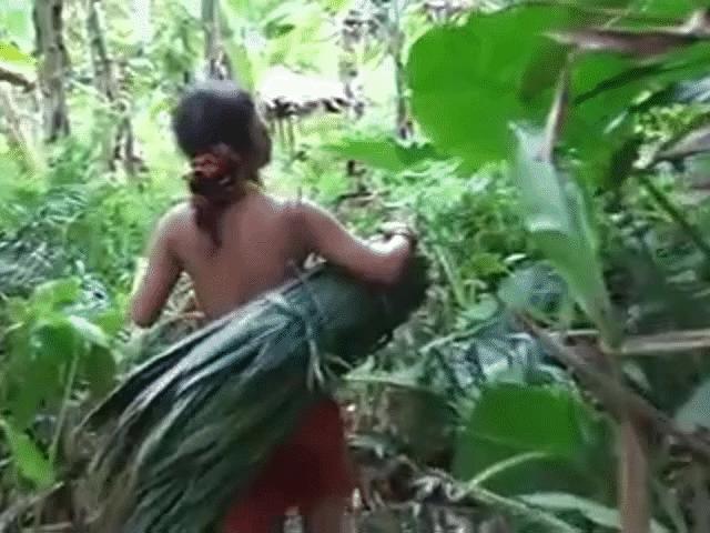 Media - Bước vào thế giới thu nhỏ của hàng triệu năm về trước ngay giữa thực tại