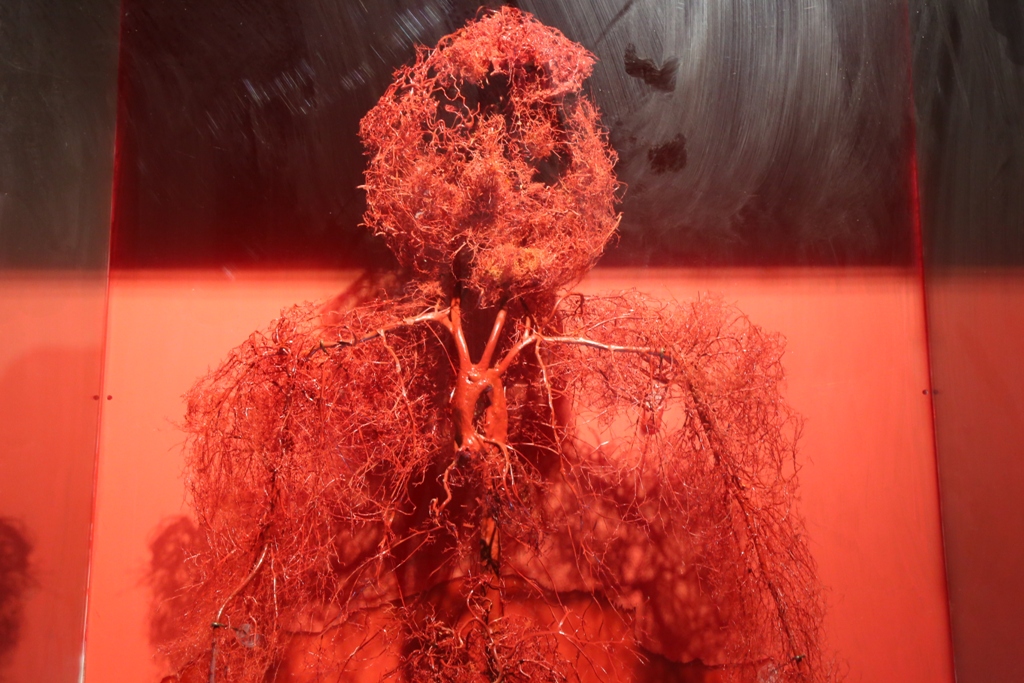 Bên trong triển lãm trưng bày xác người ở TP.HCM - 7