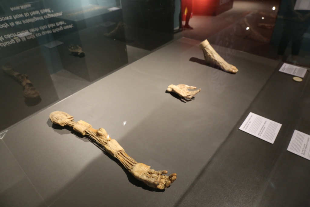 Bên trong triển lãm trưng bày xác người ở TP.HCM - 4