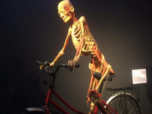 Tin tức trong ngày - Nóng 24h qua: Triển lãm xác người thật khiến người xem sợ hãi