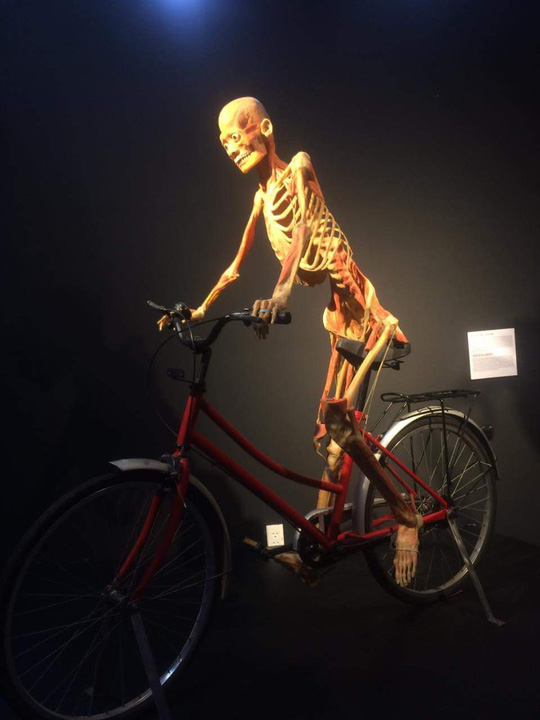 Nóng 24h qua: Triển lãm xác người thật khiến người xem sợ hãi - 1