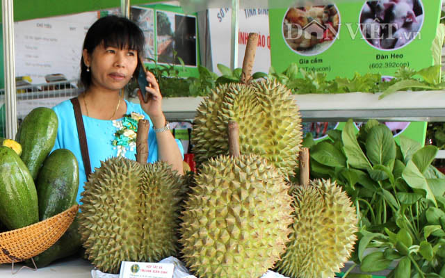 Gần cuối vụ giá sầu riêng tăng "nóng", nhà nào có 1ha là có tiền tỷ - 2