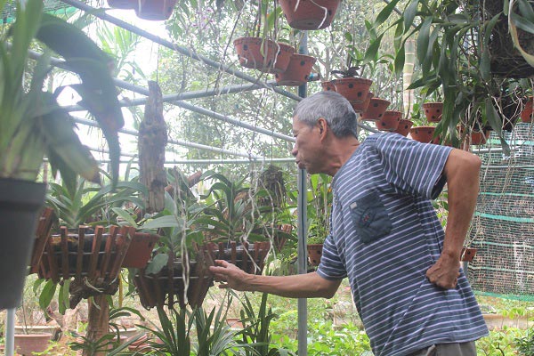Phú Thọ: Vườn 3.000m2 trồng các loài hoa, mỗi năm thu 700 triệu đồng - 3