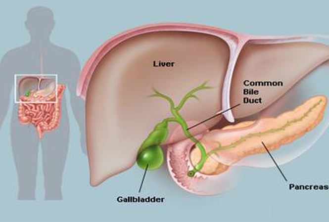 6 dấu hiệu đã đến lúc bạn cần thải độc gan - 1