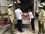 Thị trường - Tiêu dùng - Sốc: Heo sống Trung Quốc &quot;chạy&quot; ồ ạt vào Việt Nam