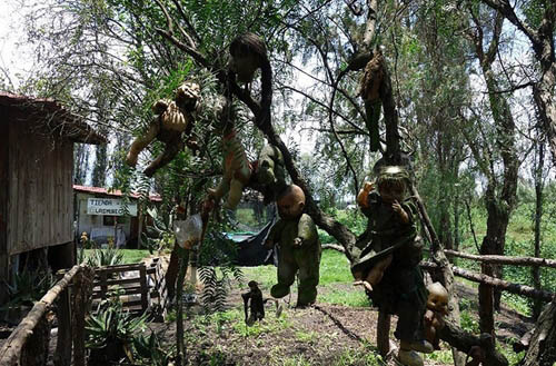 Du khách kéo nhau tới Mexico để xem đảo Búp bê rùng rợn như Annabelle - 2